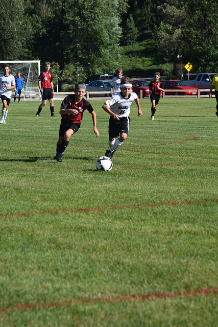 尤文圖斯作 尤文圖斯作