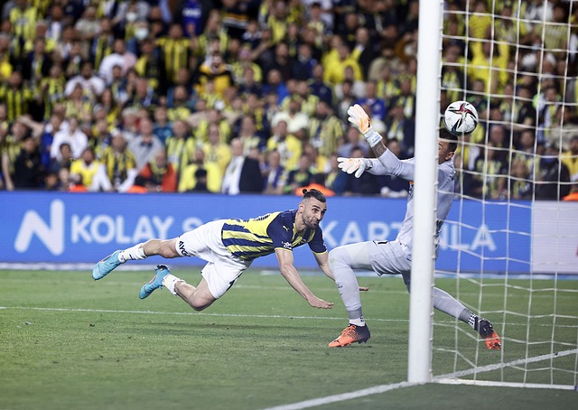 中发挥着至 中发挥着至