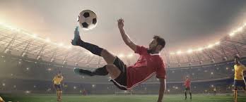 草原生态保 草原生态保