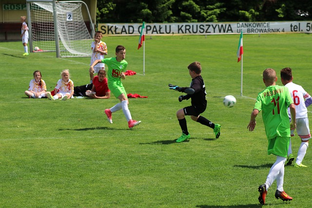 我们可以参 我们可以参